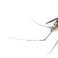 Какие средства от комаров можно беременным